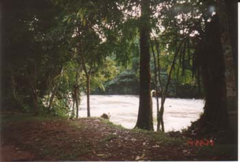 Azul4