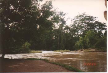 Azul5