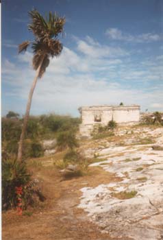 tulu11