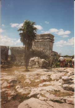 tulu3