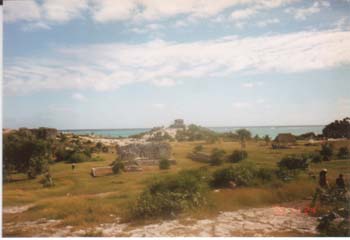 tulu30