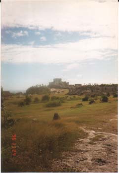 tulu31