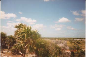 tulu5