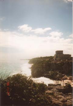 tulu9