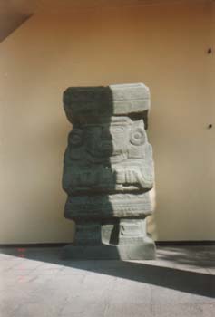 monte21