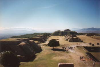 monte4