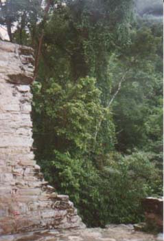 nahchan10