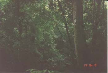 nahchan16