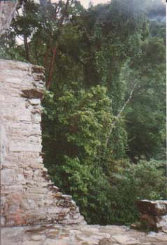 nahchan9